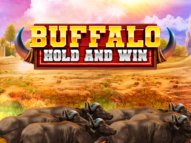 Buffalo Hold And Win